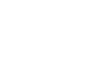 bizum-logo-alto